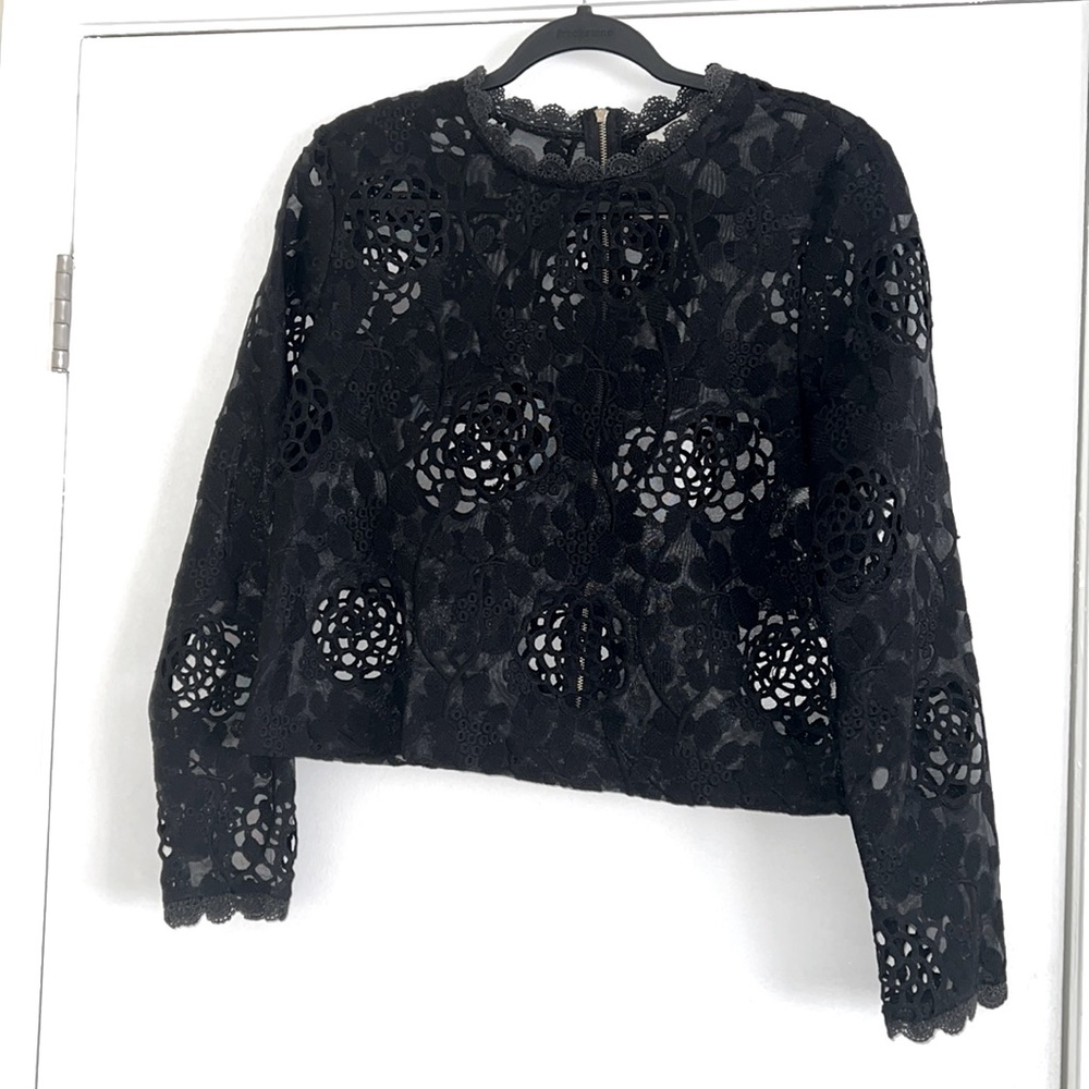 Black Lace Mesh Blouse - Picture 2 of 3